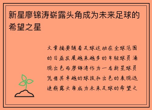 新星廖锦涛崭露头角成为未来足球的希望之星 新星廖锦涛崭露头角成为未来足球的希望之星
