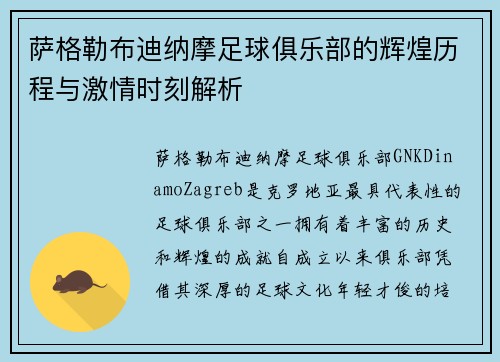 萨格勒布迪纳摩足球俱乐部的辉煌历程与激情时刻解析